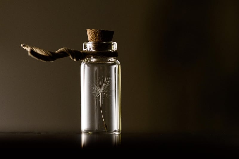 Environment Preservation